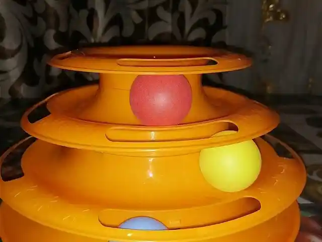 Игрушка для кошек, Душанбе