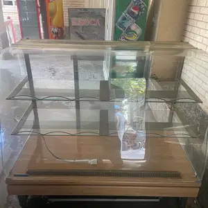 Витринный холодильник, Рӯдакӣ
