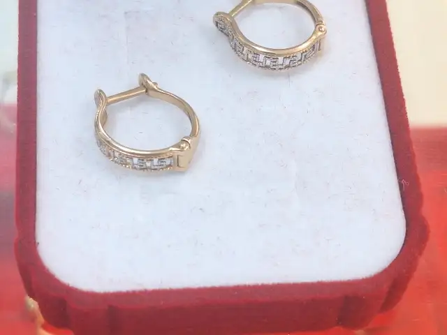 Гушвори российский 585пр, Душанбе