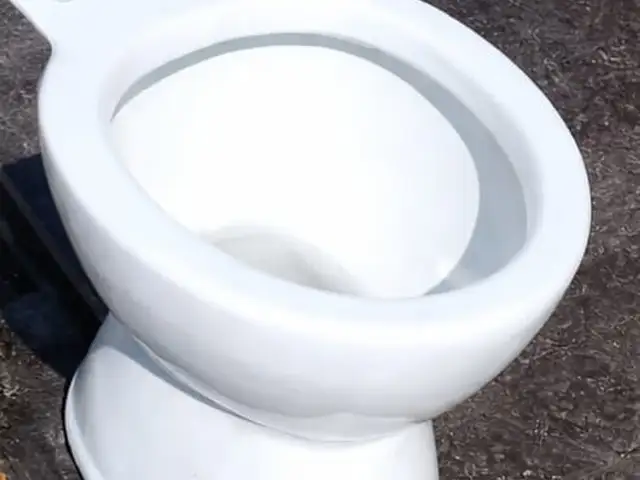 Дачный Унитаз, Душанбе