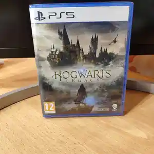 Игра Hogwarts Legacy для PlayStation 5, Душанбе