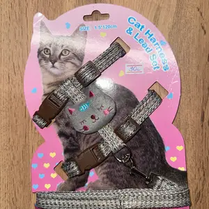 Шлейка для кошки, Душанбе
