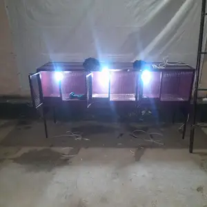 Клетка, Душанбе
