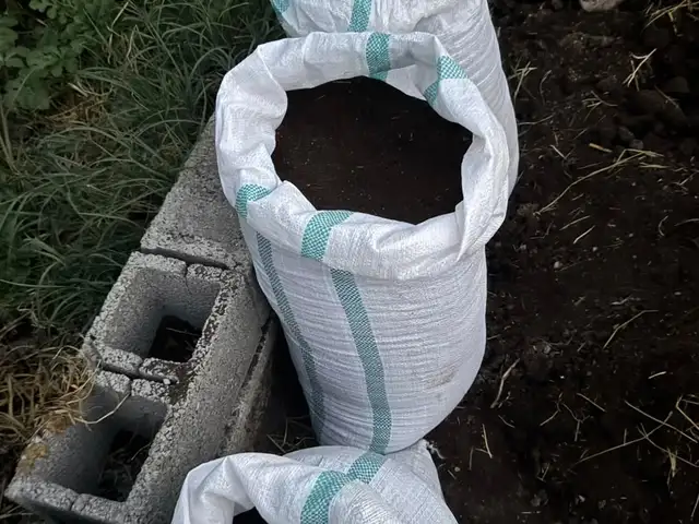 Биогумус, Худжанд