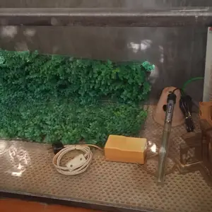 Аквариум Эксклюзивный, Душанбе