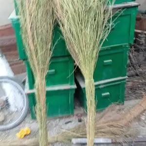 Чоруб, Душанбе