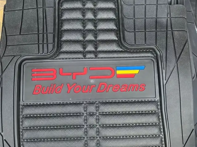 Полик на BYD, Душанбе