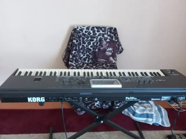Синтезатор Korg pa 3 Lee, Рудаки