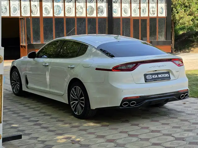 Kia Stinger, 2019, Турсунзаде - 3