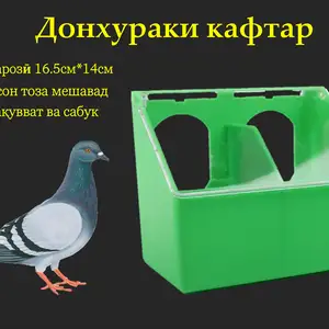 Кормушка/Донхураки кафтар, Душанбе