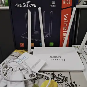 Wi-fi роутер, Бустон (Чкаловск)