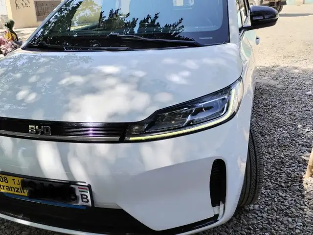 BYD E2