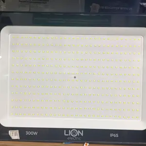 Прожектор Lion, Душанбе