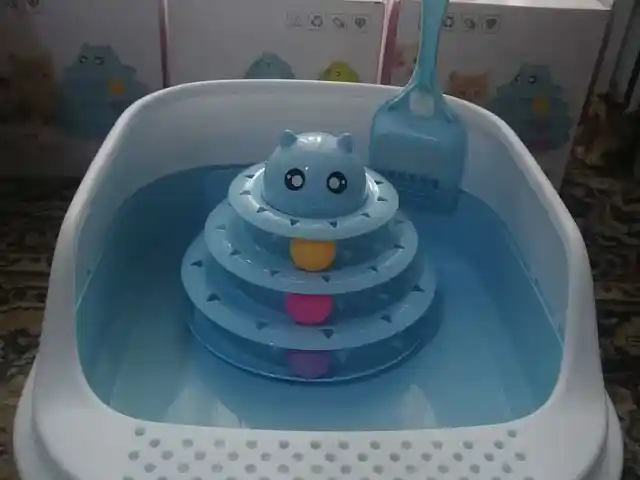 Комплект для кошки, Душанбе