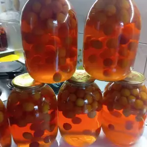 Компоти олучаи кухи, Худжанд