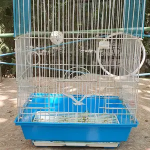 Клетки, Худжанд