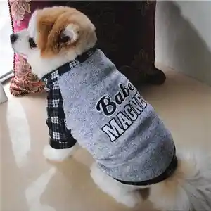 Кофта для собак, Душанбе