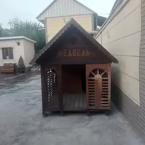 Хонаи саг, Душанбе