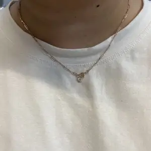 Золотой комплект, Ҷалолиддин Балхӣ (Румӣ)