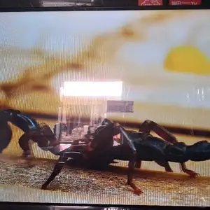 Телевизор Samsung, Хуҷанд