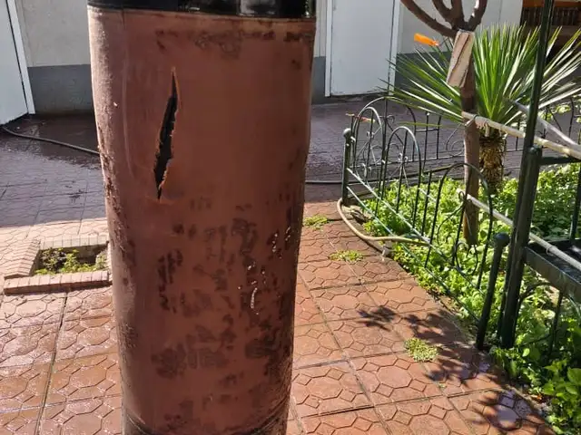 Груша напольная, Душанбе