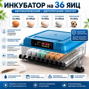 Автоматический инкубатор на 36 яиц, Душанбе