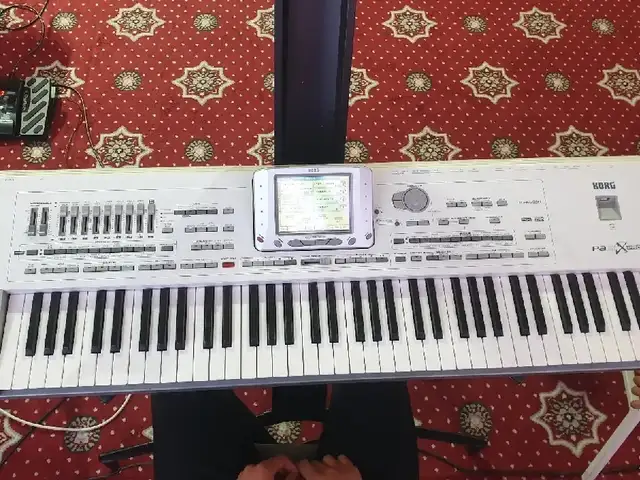 Синтезатор Korg Pa 2x, Канибадам