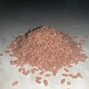 Биринчи Девзира, Душанбе