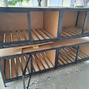 Клетка, Худжанд