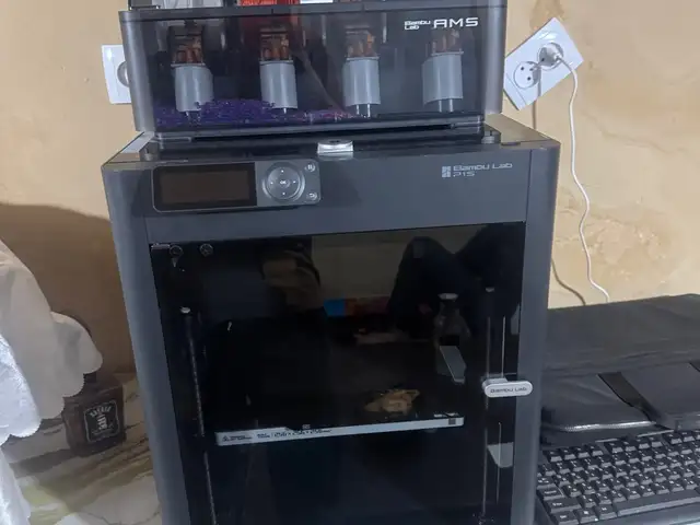 3D принтер Bambulab P1S combo, Пяндж
