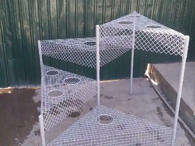 Цветочница, Душанбе