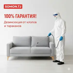Дезинфекция от клопов и тараканов, Душанбе