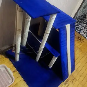 Домик для кошек, Душанбе
