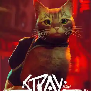 Игра Stray для компьютера-ПК-РС, Душанбе