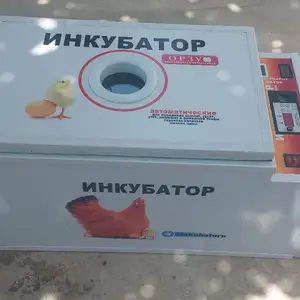 Инкубатор 70 штук, Бохтар (Курган-Тюбе)
