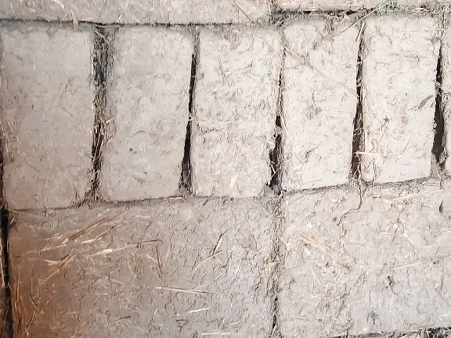 Кирпичи лои, Вахдат