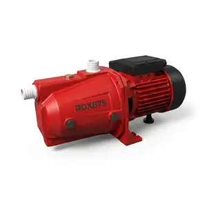 Поверхностный насос RDX875, Душанбе