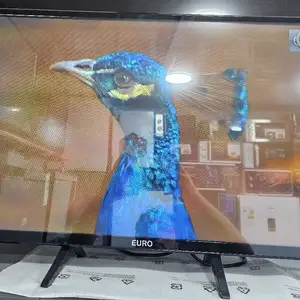 Телевизор, Хуҷанд