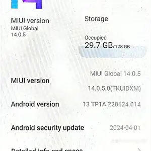 Xioami Redmi 10, Рашт