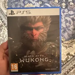 Диск Wukong, Душанбе