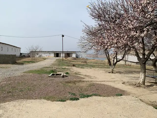 Птицеферма, Хуҷанд - 4