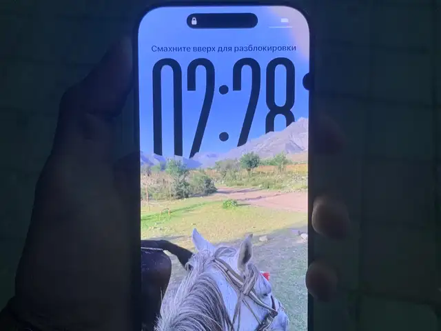 Apple iPhone 16 Pro, 128 gb, Black Titanium, Душанбе