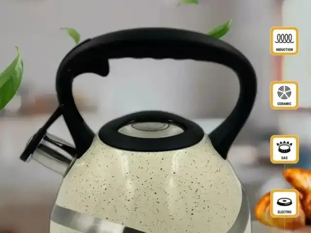 Чайник для плиты, Душанбе