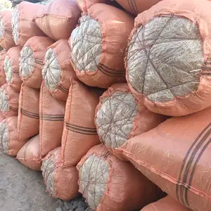 Кахи гандуми лалми майда, Шаҳринав