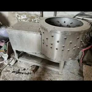 Мургтозакунак, Душанбе