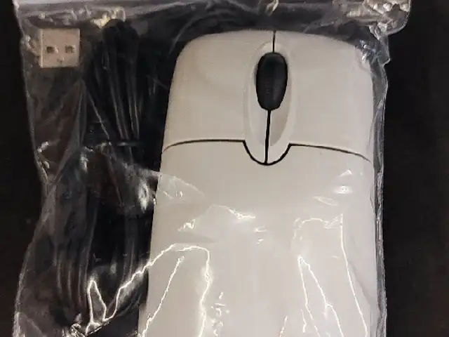 Машка Microsoft, Турсунзаде