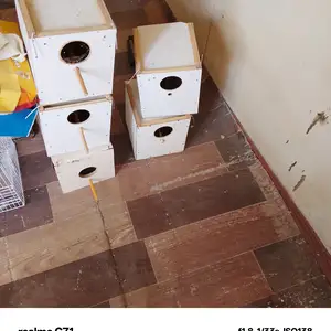 Кафас, Душанбе