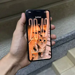 Apple iPhone 11 Pro Max, 256 gb, Midnight Green, Худжанд