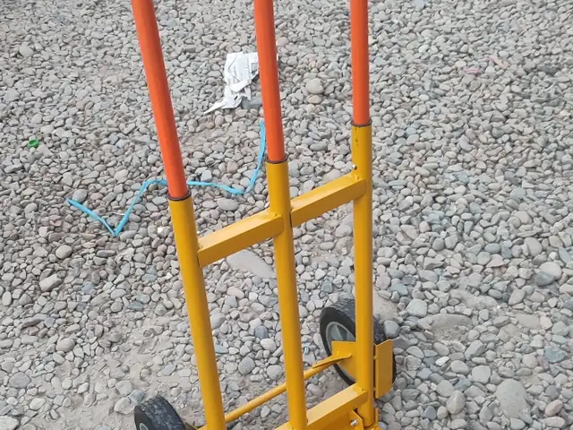 Тележка, Душанбе