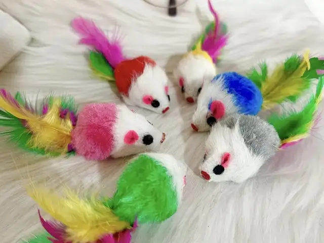Игрушка для кошек, Худжанд